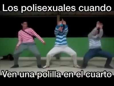 Polillas 😱😱😱