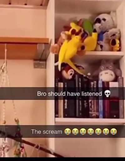 Bro should've listened
