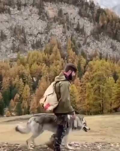 Приру<wbr>чил