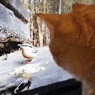 Catching a bird