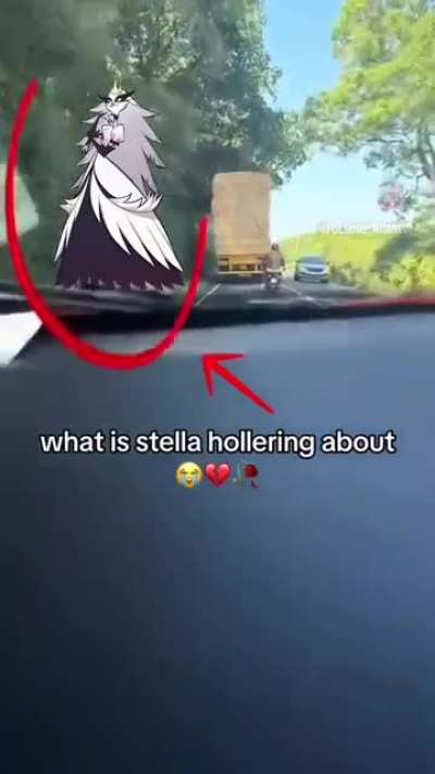 Stella’s mad