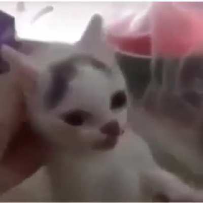 Mashallah 2