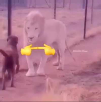 👉👈