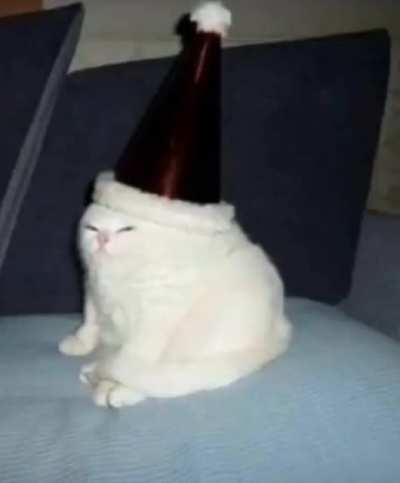 : > cat