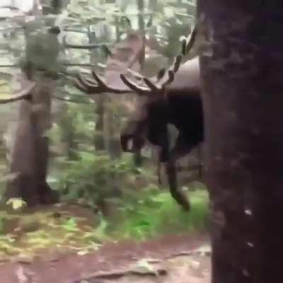 Добрый вечер