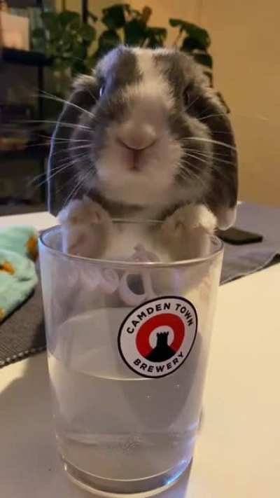 Can’t have anything..