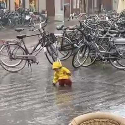Meanwhile in The Netherlands
