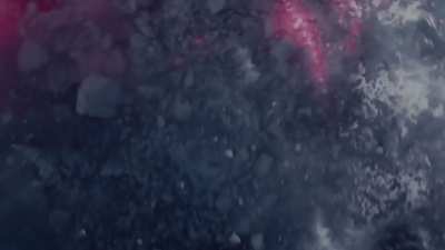 My favorite scene from Godzilla X Kong