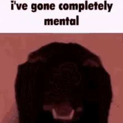 Mental illness cat