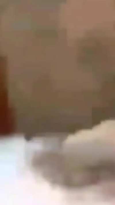 MoaiGreddit - Video #9300