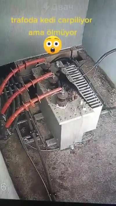 Он умер и?