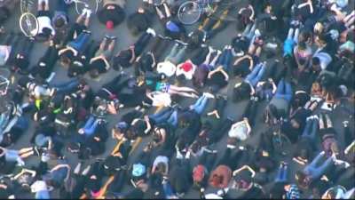 Demonstrators in Portland, OR shut down bridge, all face down