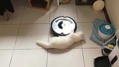 Round n' round...
