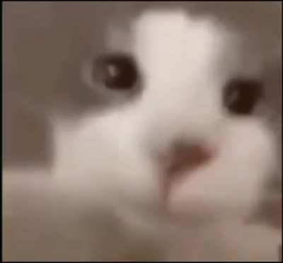 :)