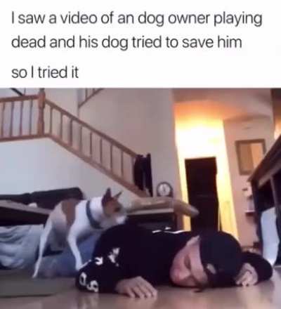 BONK