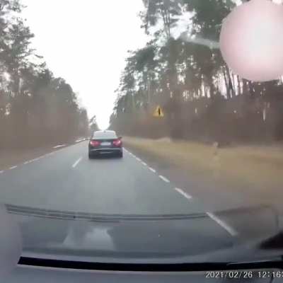 Broke my Deer Car