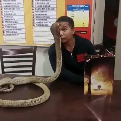 Pure stupidity