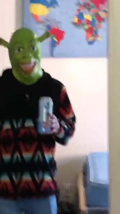 Shrek gets attacked