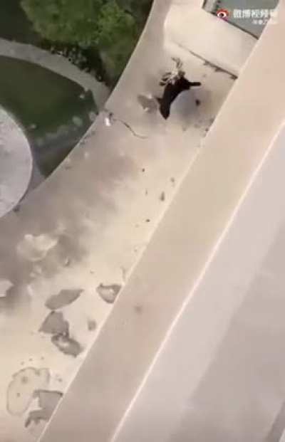 Holy Crab !