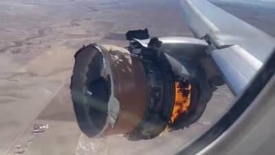 In 2021 United Airlines flight 328 experienced a catastrophic uncontained engine failure after takeoff from Denver International Airport, grounding all Boeing 777-200 aircraft for a month while investigations took place