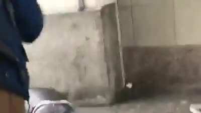 Nazi gets punched back to 1933