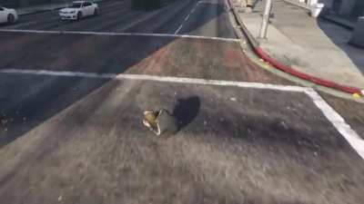 A car appeared, did its job, and disappeared...