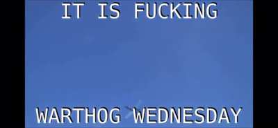 ITS FUCKIN WRRHOG WEDNESDAY!!!