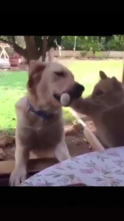 Oh no!