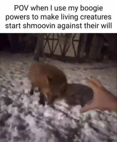 day 3 (shmoove diary)