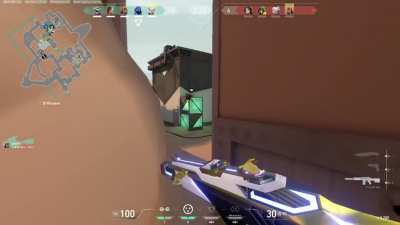 Anyone else know you could put cypher cams on skye flashes?