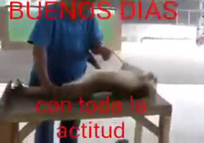 Buen día 👊😎