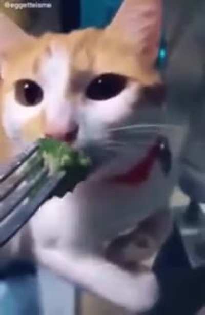 Hope this hasn’t been posted before