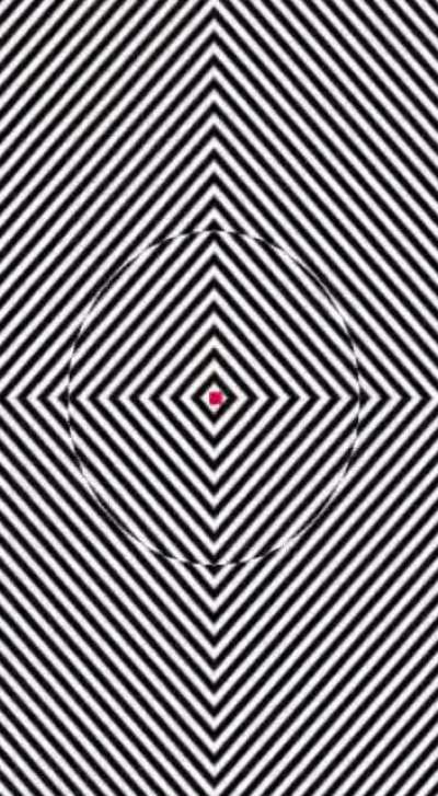 Just Focus on video Red Dot