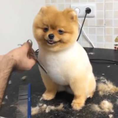 This little monster