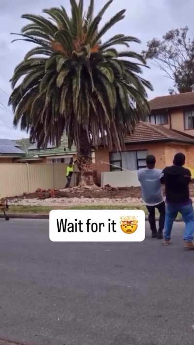 These gentlemen are gonna have some explaining to do
