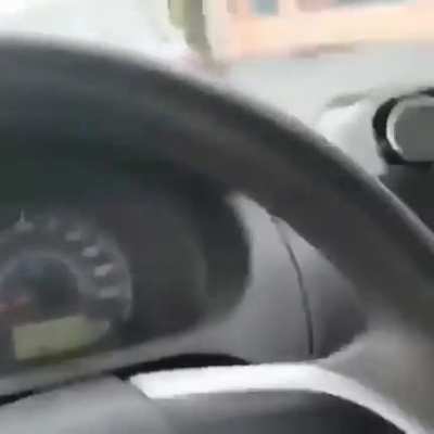 Just a dude and a wild bird, what could go wrong?