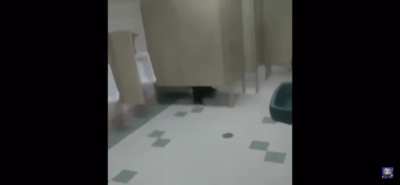 Toilet Screams