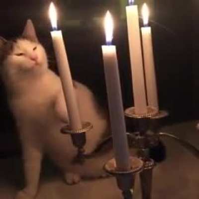 touch tha canddal
