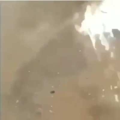 Full video. Dog was not harmed
