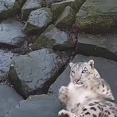 watch out someone is watching