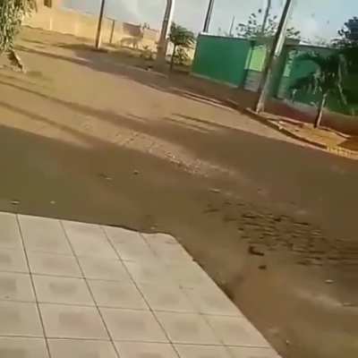 tu é besta?