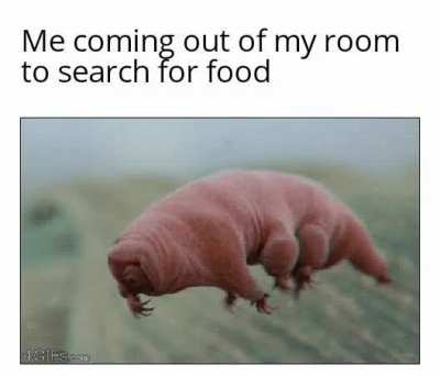 Mom I'm hungry