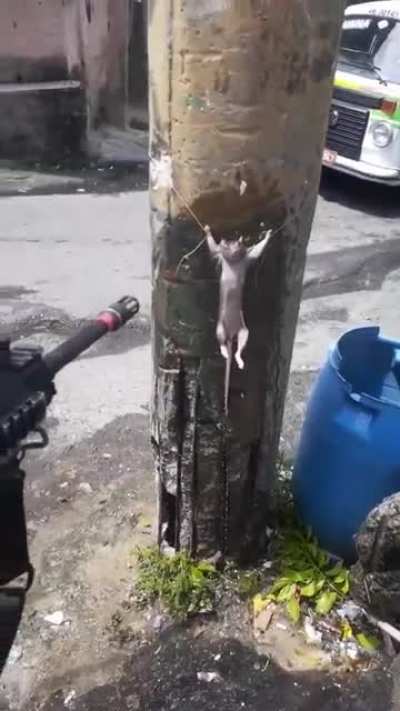 O Brasil foi longe demais Agora