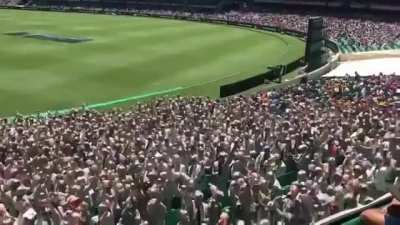 A marvelous day at the cricket.