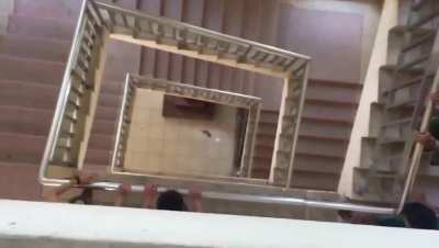 rat falls while background is playing vietnamese song 