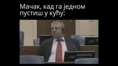 Mjau mjau