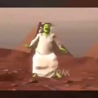 sheikrek?