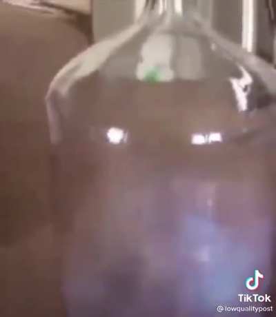 DIY Science Experiment