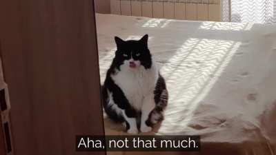 When you get home two hours later than usual