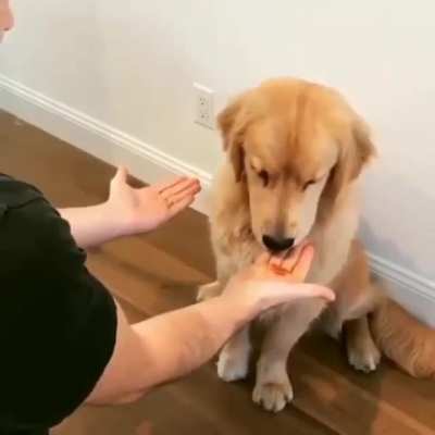 His expression!!